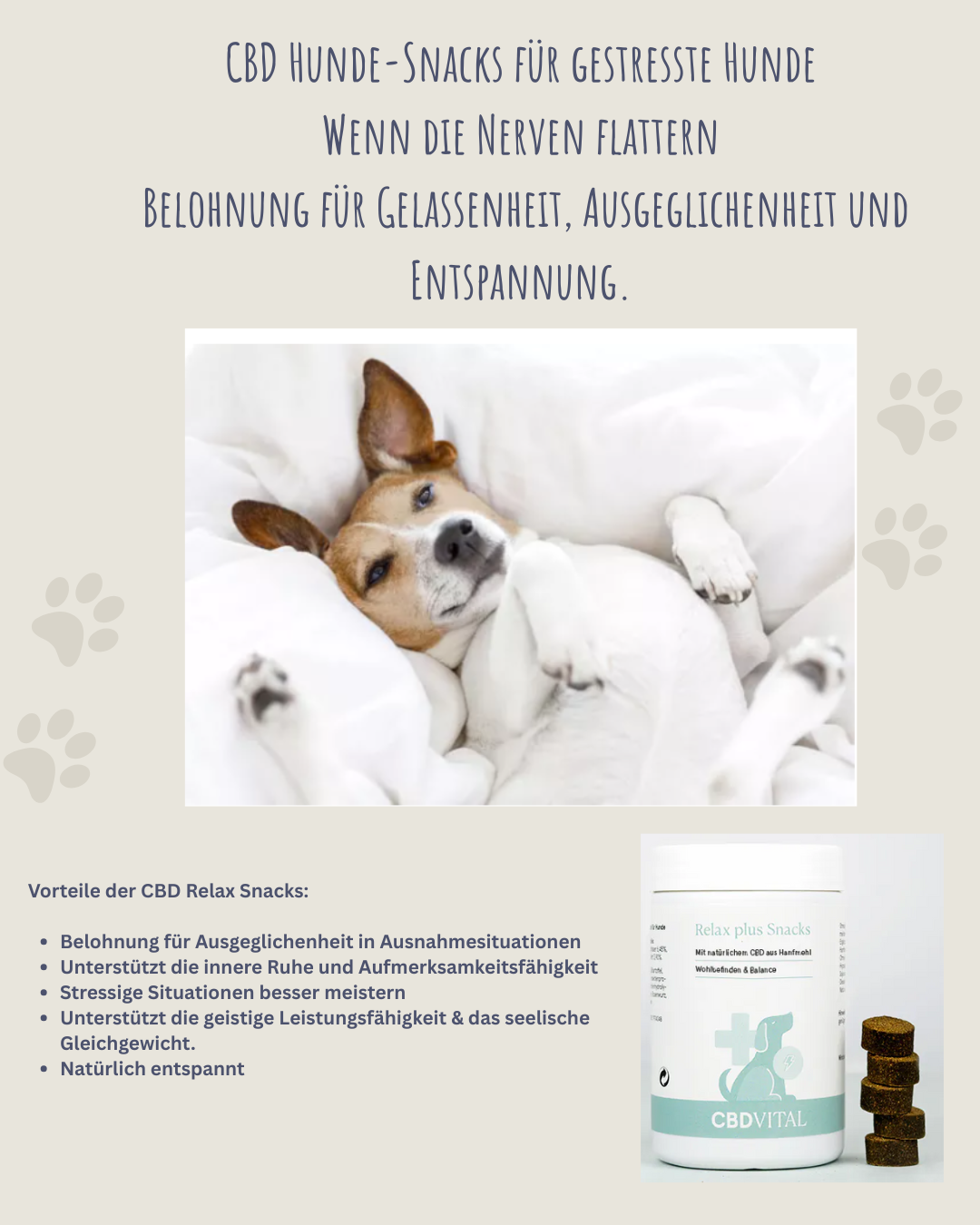 CBD Hunde-Snacks für gestresste Hunde.