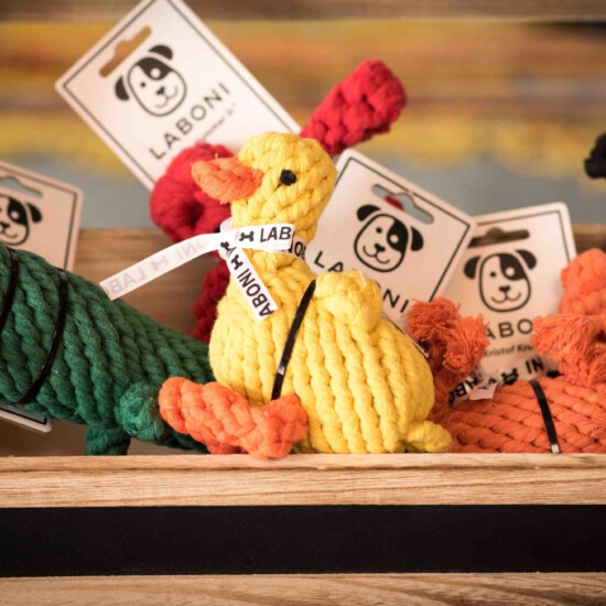 Verschiedene Hundespielzeuge